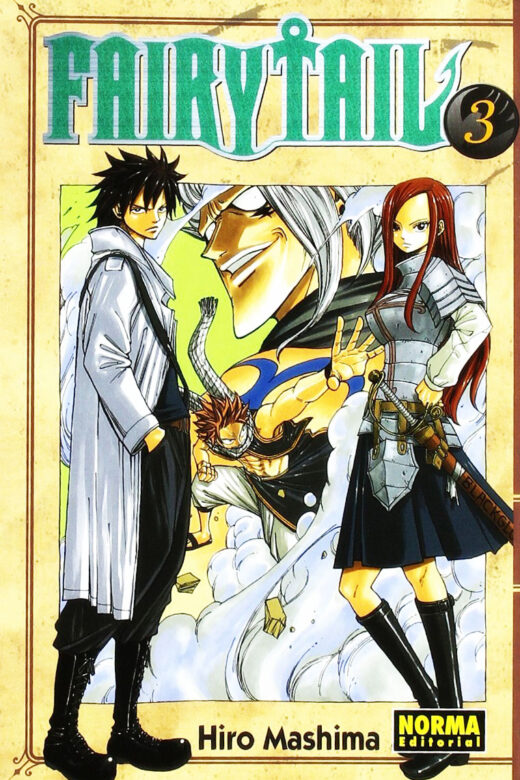Manga Fairy Tail 03