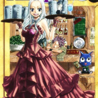 Manga Fairy Tail 14