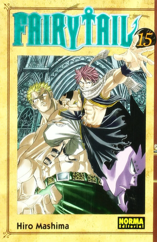 Manga Fairy Tail 15