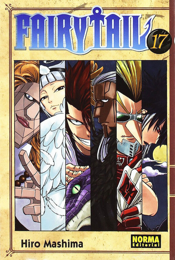 Manga Fairy Tail 17