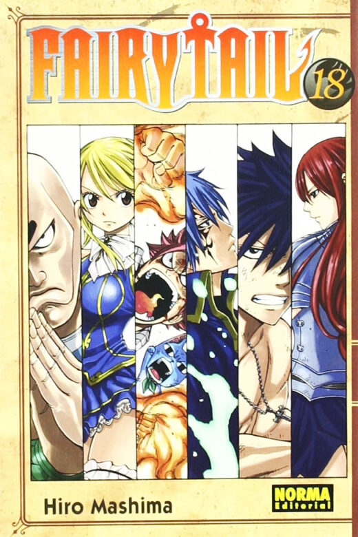 Manga Fairy Tail 18
