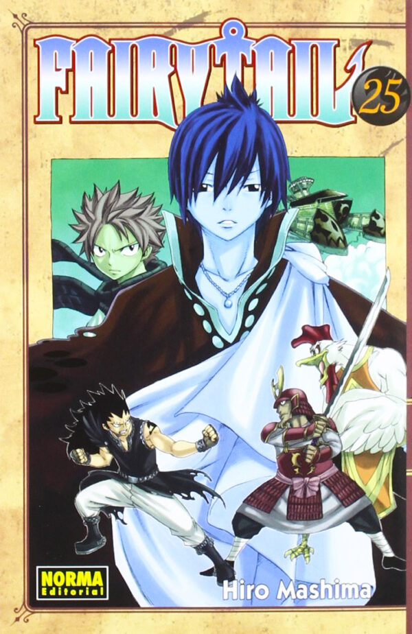 Manga Fairy Tail 25