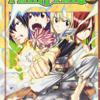 Manga Fairy Tail 29