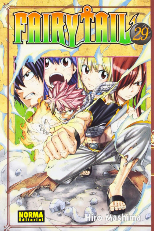 Manga Fairy Tail 29