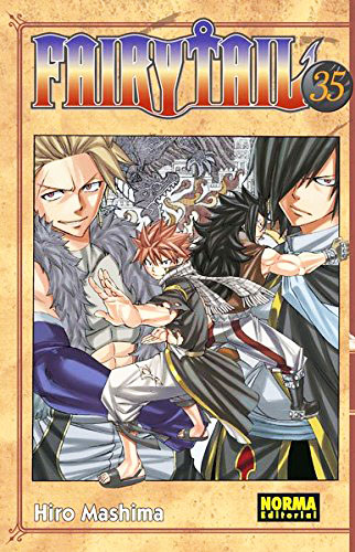 Manga Fairy Tail 35