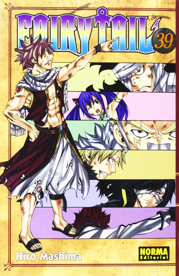 Manga Fairy Tail 39