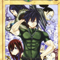 Manga Fairy Tail 41