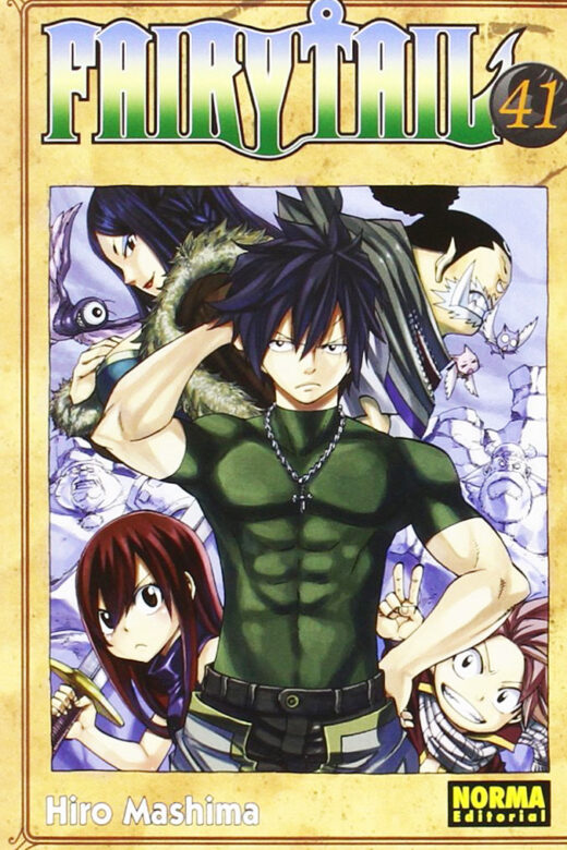 Manga Fairy Tail 41
