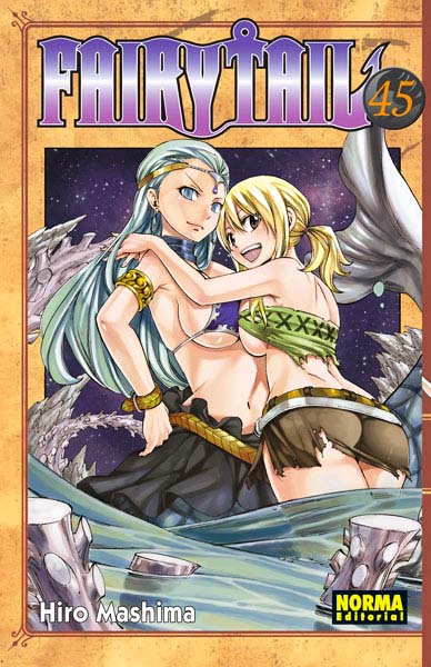 Manga Fairy Tail 45