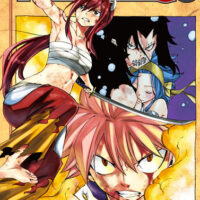 Manga Fairy Tail 47