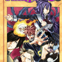 Manga Fairy Tail 48