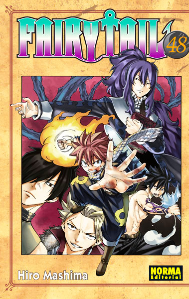 Manga Fairy Tail 48