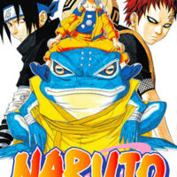 Manga Naruto 13