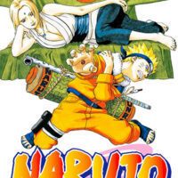 Manga Naruto 18
