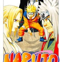 Manga Naruto 19