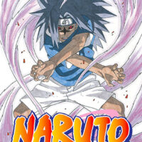 ¡Manga Naruto 27