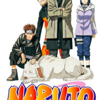 Manga Naruto 34