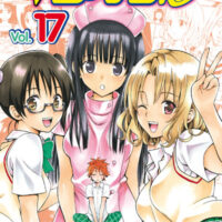 Manga To Love-Ru 17