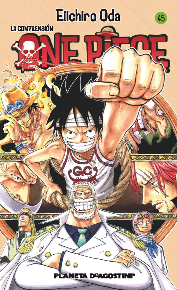 Manga One Piece Tomo 45