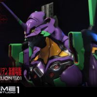 Busto Premium EVA Test Type-01