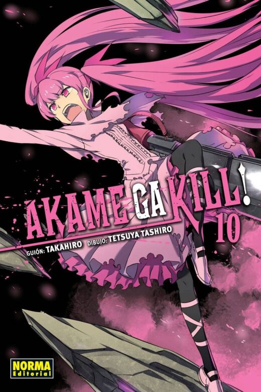 Manga Akame ga Kill 10