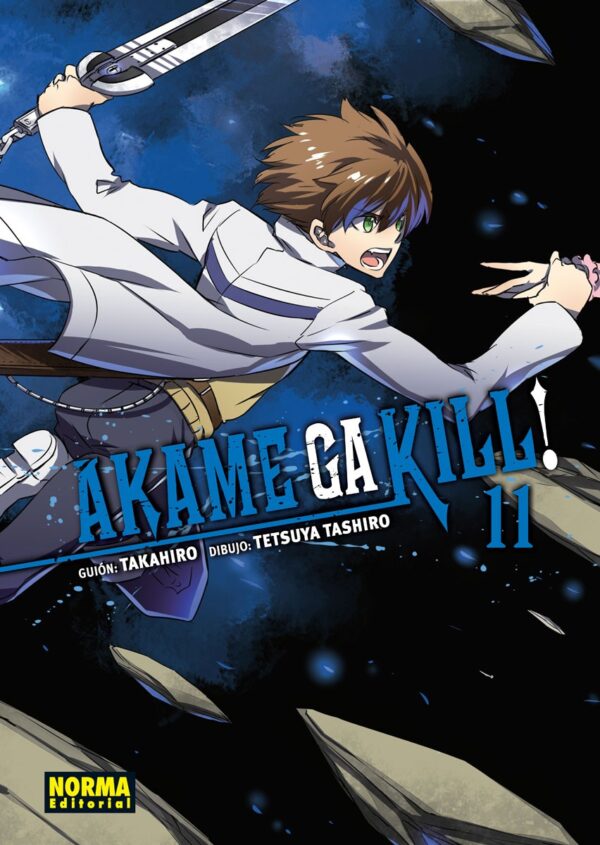 Manga Akame ga Kill 11