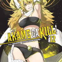 Manga Akame ga Kill 12