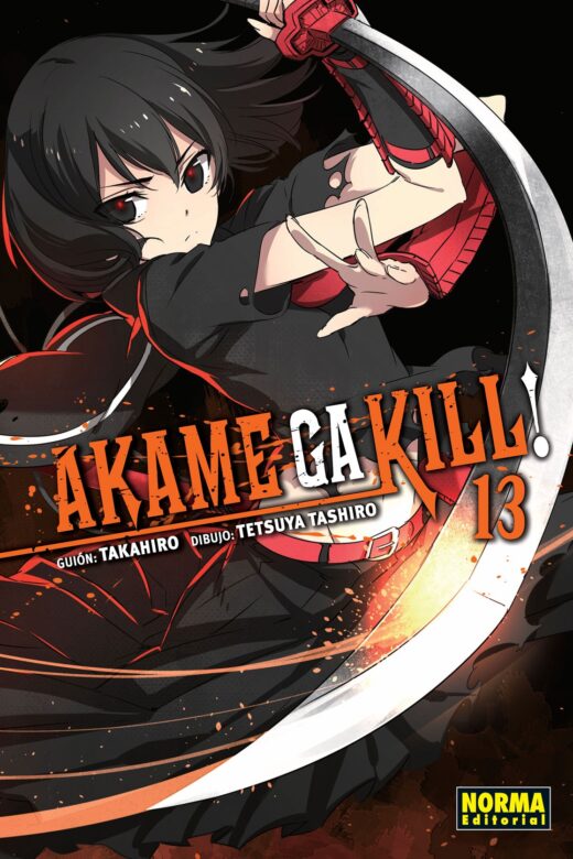 Manga Akame ga Kill 13