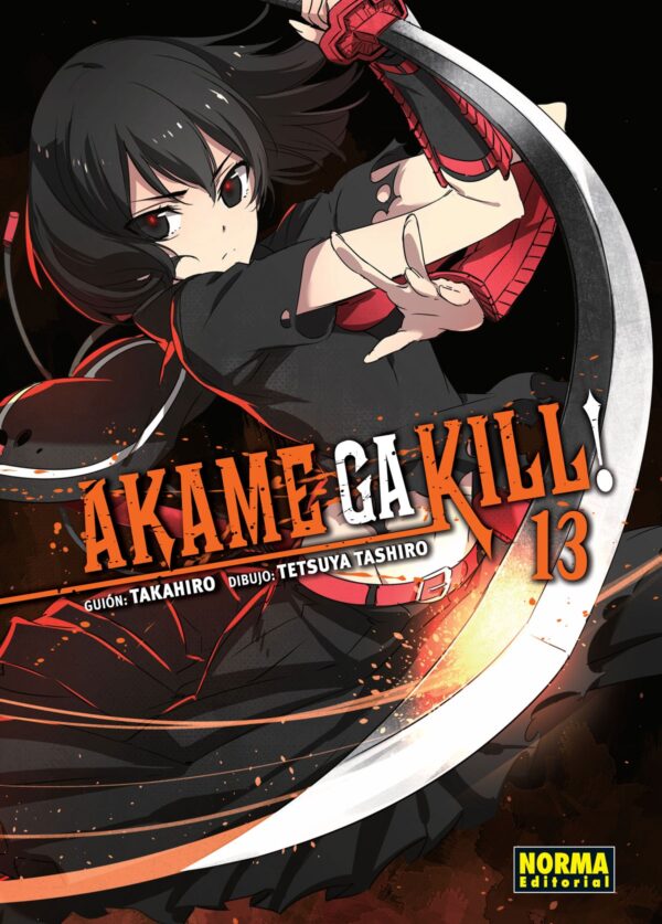 Manga Akame ga Kill 13
