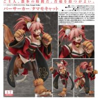 Fate Grand Order Berserker Tamamo Cat