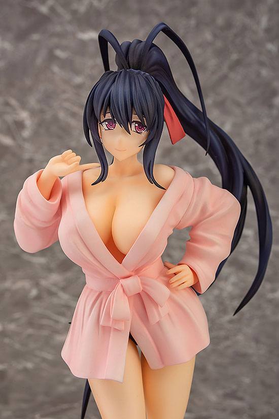 Figura High School DxD HERO Akeno Himejima Bathrobe