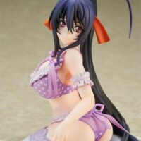 Figura High School DxD Himejima Akeno Lingerie