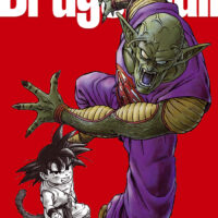 Manga Dragon Ball Manga tomo 11