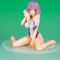 Estatua-Swimsuit-Akane-Shinjo-Fots-Japan-14-cm-02