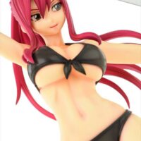 Estatua Fairy Tail Erza Scarlet Swimwear