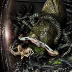 Estatua Rogue Alien Battle Diorama