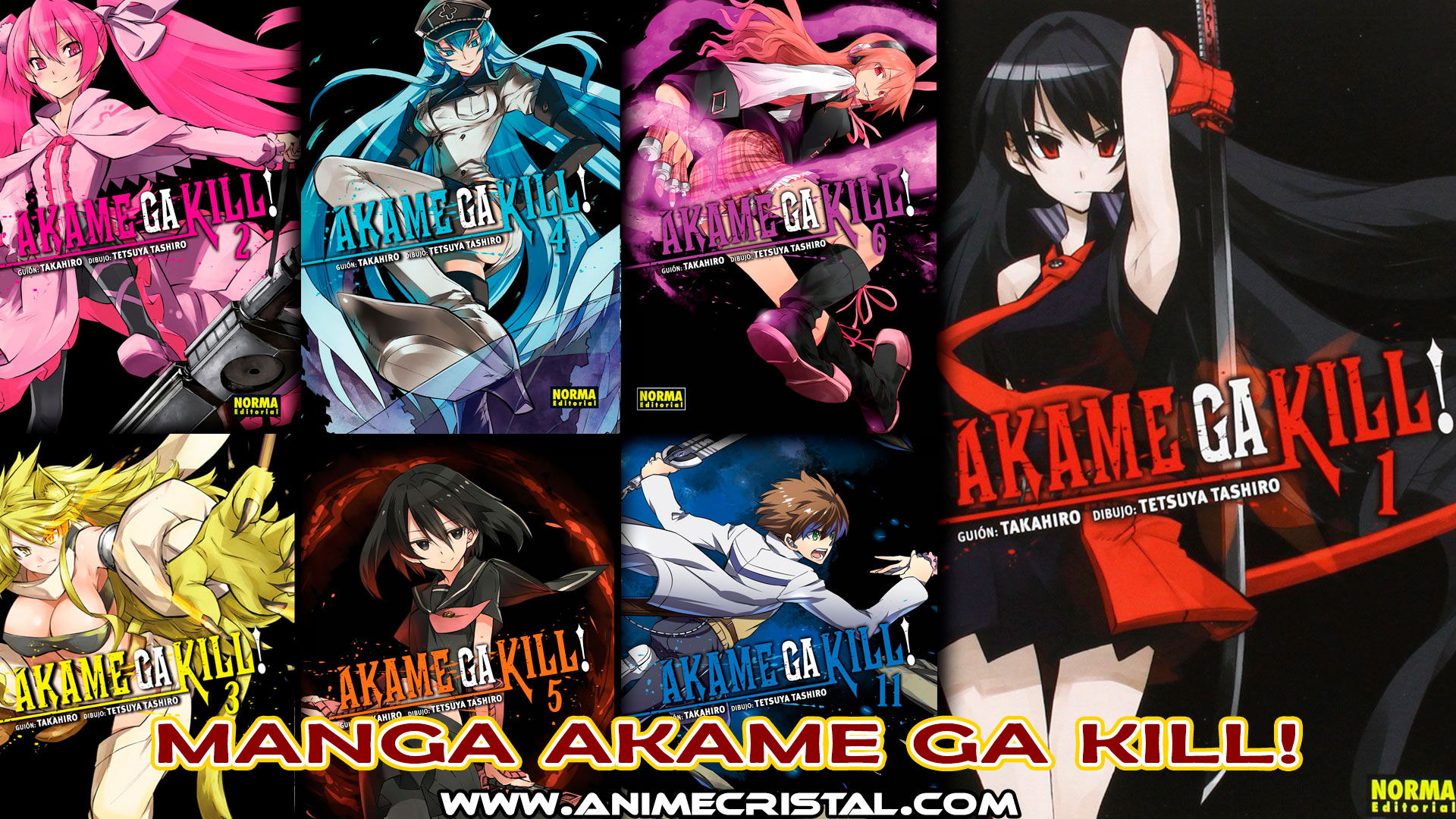 Manga Akame ga Kill!