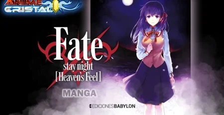 Manga Fate stay night Heavens Feel