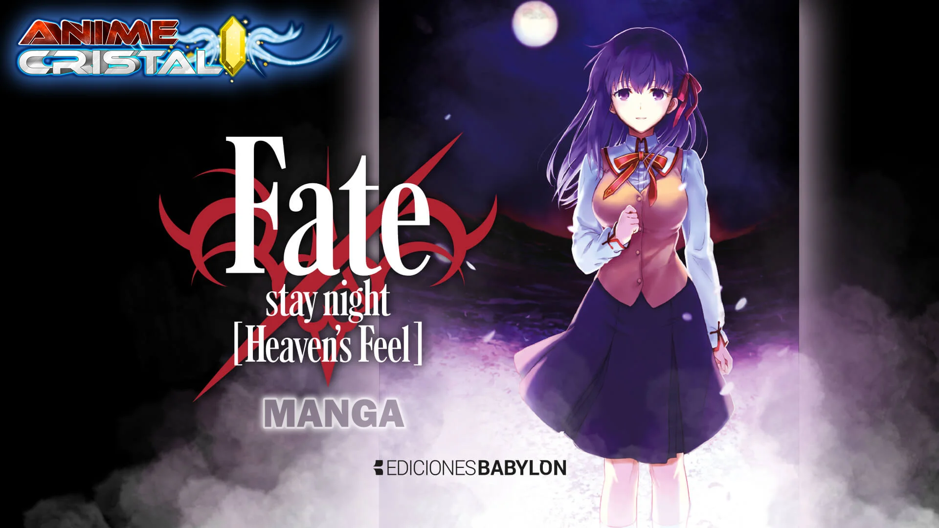 Manga Fate stay night Heavens Feel