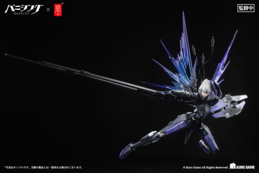 Figura Punishing Gray Raven Rosetta Rigor