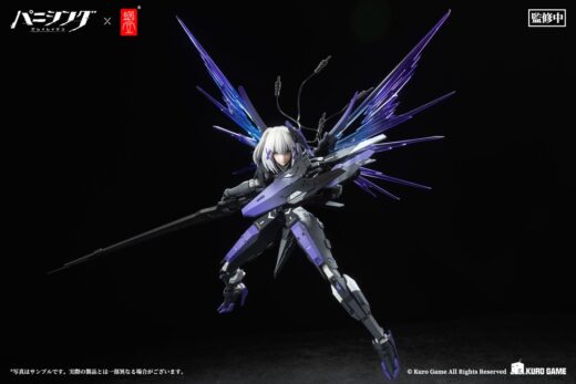 Figura Punishing Gray Raven Rosetta Rigor